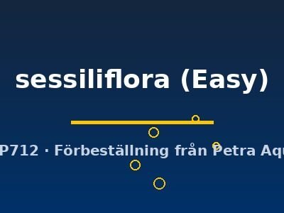 sessiliflora (Easy)
