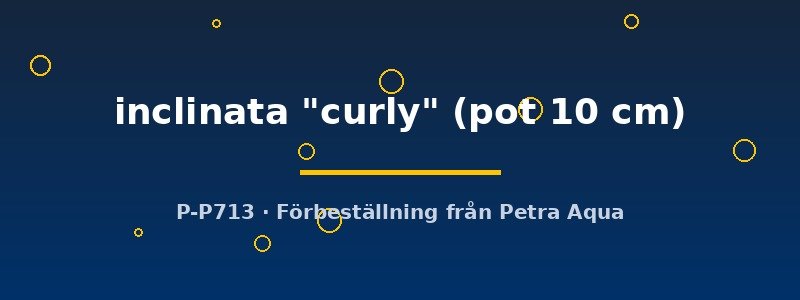 petra-ph2-182636 petra-ph2-182636