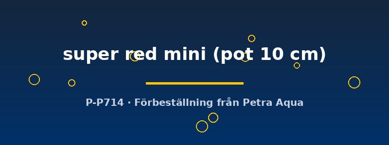 petra-ph2-182640 petra-ph2-182640