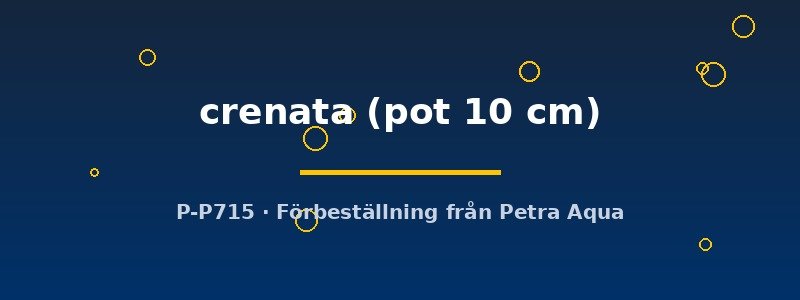 petra-ph2-182642 petra-ph2-182642