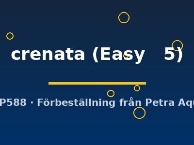 Marsilea crenata Easy5