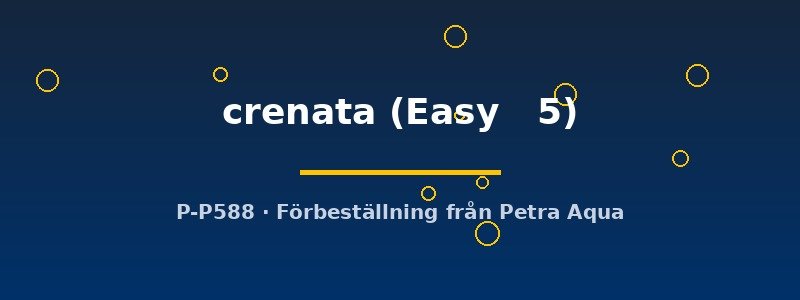 petra-ph2-182643 petra-ph2-182643