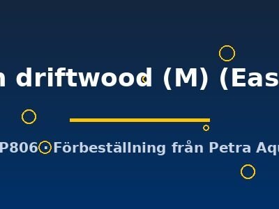 on driftwood (M) (Easy)