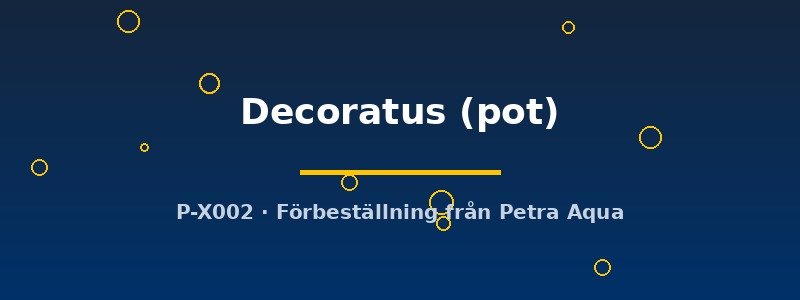 petra-ph2-182689 petra-ph2-182689