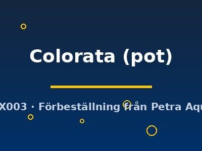 Colorata (pot)