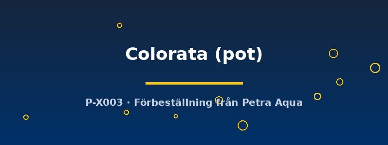 petra-ph2-182691 petra-ph2-182691