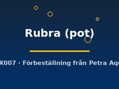 Rubra (pot)