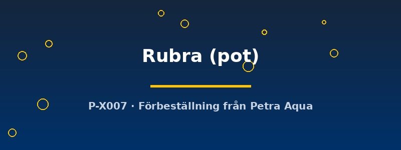 petra-ph2-182694 petra-ph2-182694