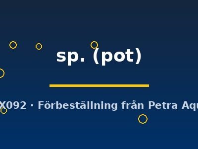 sp. (pot)