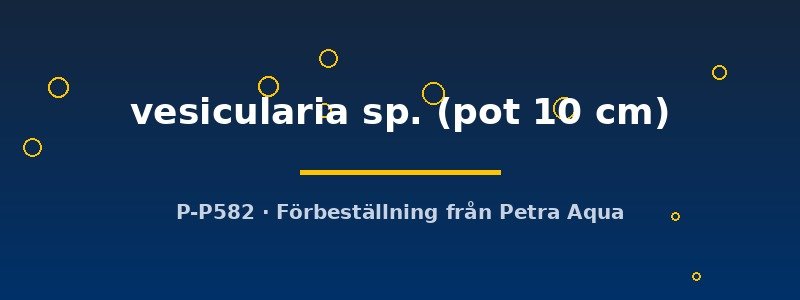 petra-ph2-182699 petra-ph2-182699