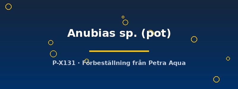 petra-ph2-182715 petra-ph2-182715