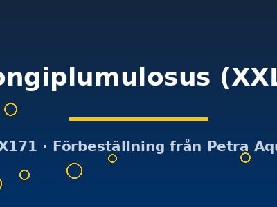 longiplumulosus (XXL)