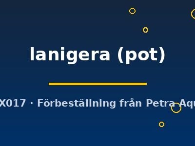 lanigera (pot)