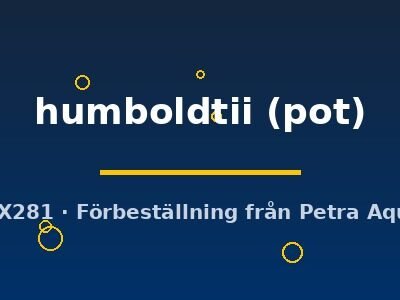 humboldtii (pot)