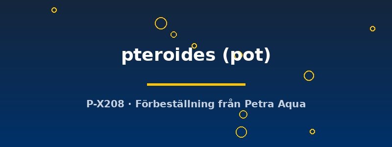 petra-ph2-182743 petra-ph2-182743