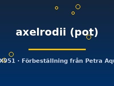 Cryptocoryne axelrodii pot