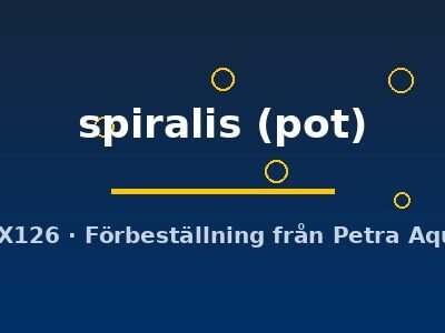 Cryptocoryne spiralis pot