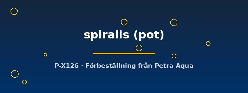 petra-ph2-182764 petra-ph2-182764