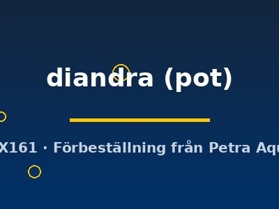 Didiplis diandra pot