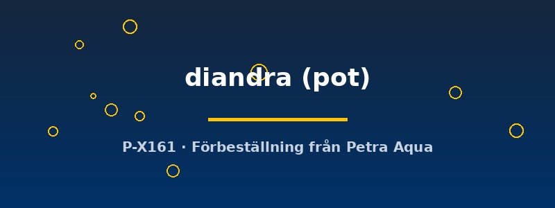 petra-ph2-182771 Didiplis diandra pot