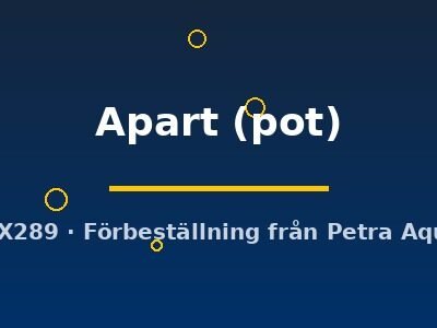 Echinodorus Apart pot
