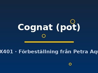 Cognat (pot)