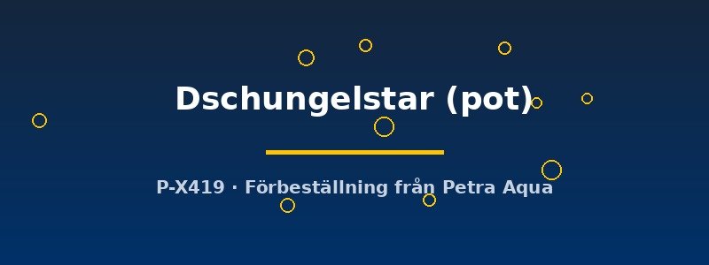 petra-ph2-182779 Echinodorus Dschungelstar pot