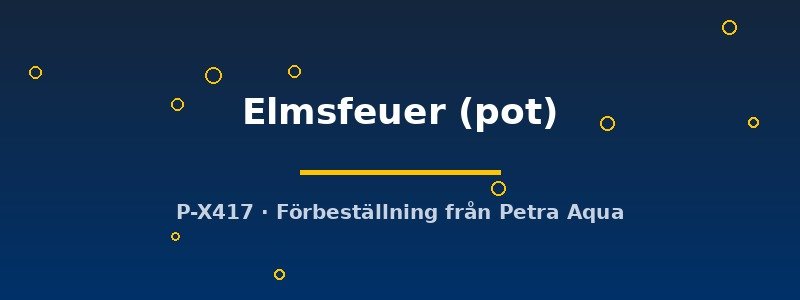 petra-ph2-182780 Echinodorus Elmsfeuer pot