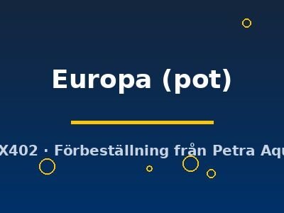 Echinodorus Europa pot