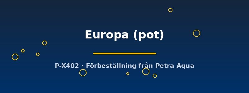 petra-ph2-182781 Echinodorus Europa pot