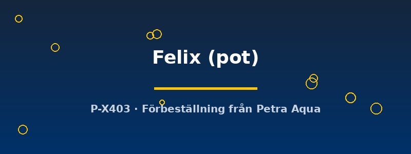 petra-ph2-182782 Echinodorus Felix pot