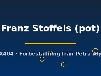 Echinodorus Franz Stoffels pot