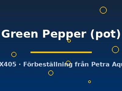 Green Pepper (pot)