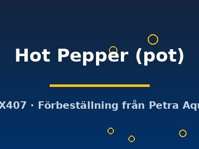 Hot Pepper (pot)