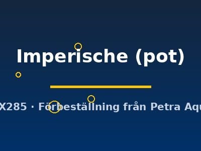 Echinodorus Imperische pot