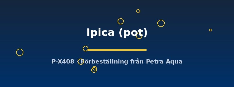 petra-ph2-182789 petra-ph2-182789