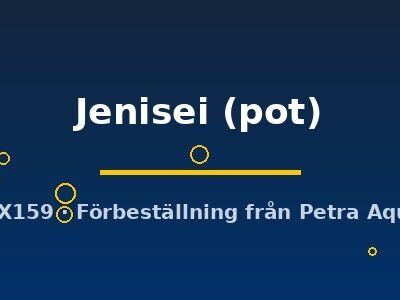 Jenisei (pot)