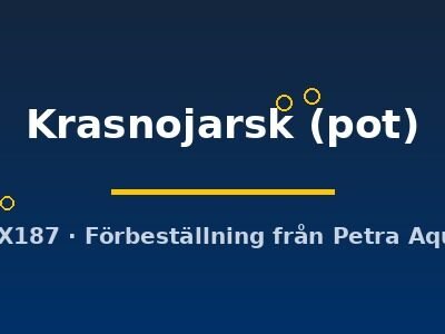 Echinodorus Krasnojarsk pot