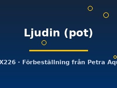 Ljudin (pot)