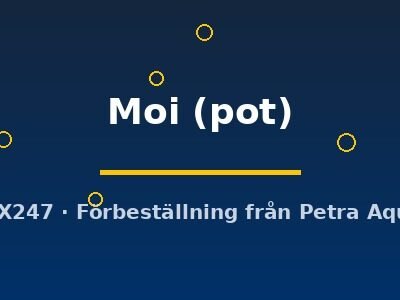 Echinodorus Moi pot