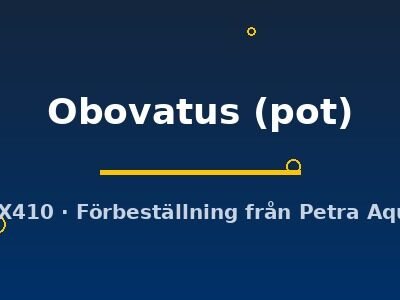 Obovatus (pot)