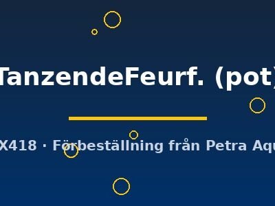 Echinodorus TanzendeFeurf. pot