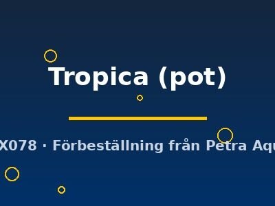 Tropica (pot)