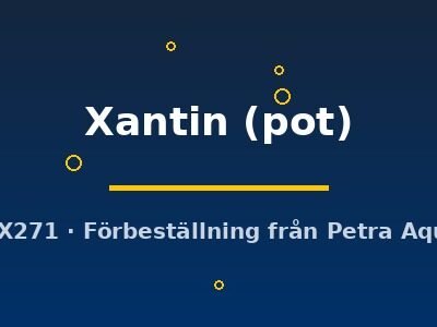 Xantin (pot)