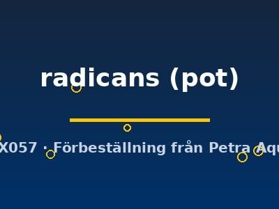 radicans (pot)