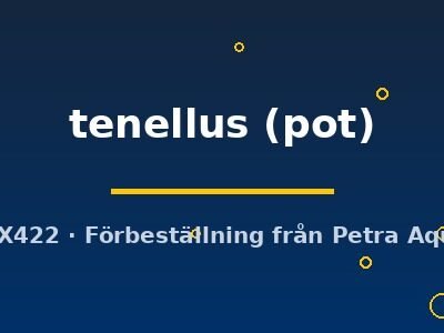 tenellus (pot)