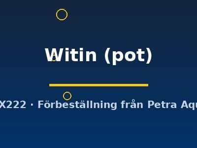 Witin (pot)