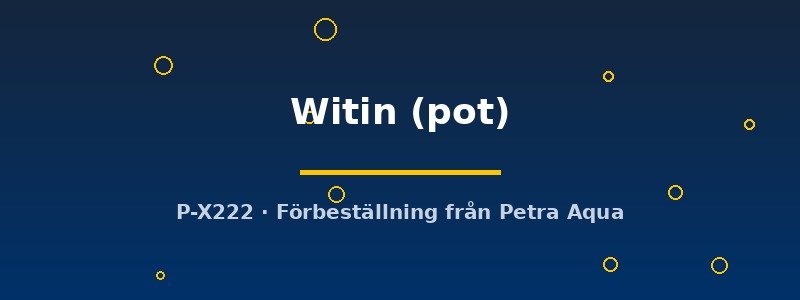 petra-ph2-182852 Echinodorus Witin Witin pot