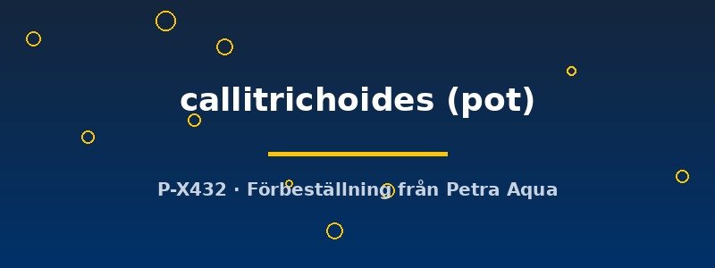 petra-ph2-182865 petra-ph2-182865