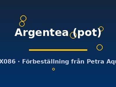 Hemigraphis Argentea pot